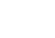 BTC Strip Icon